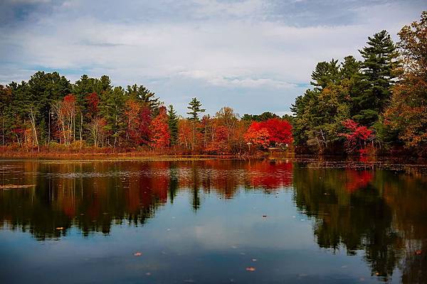 Massachusetts-馬塞諸塞 massachusetts-1813239_960_720.jpg