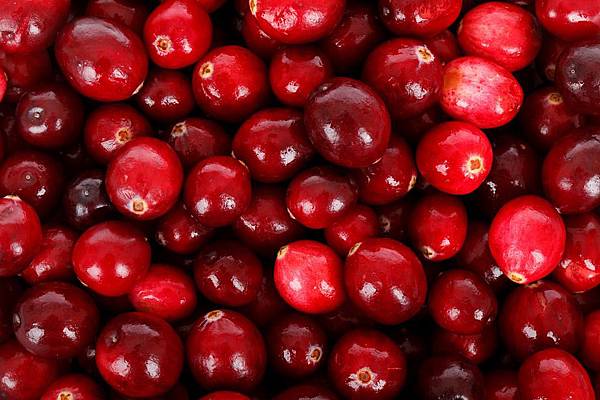 cranberry-蔓越莓