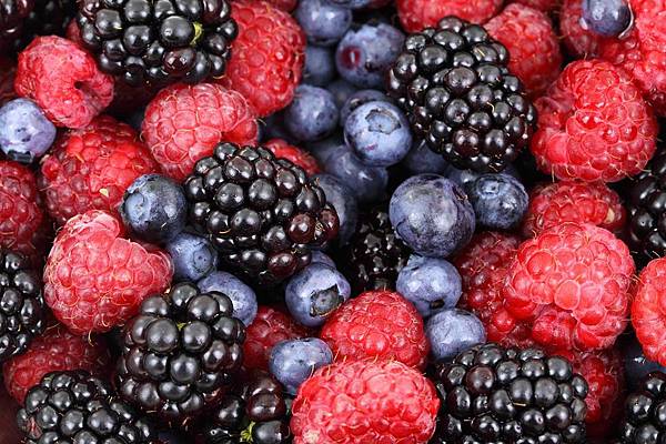 Berry-莓果