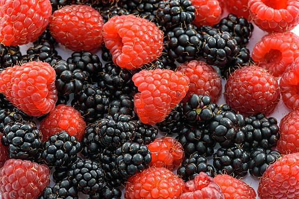Berry-莓果