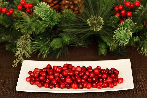 Cranberry-蔓越莓 christmas-21949_960_720.jpg
