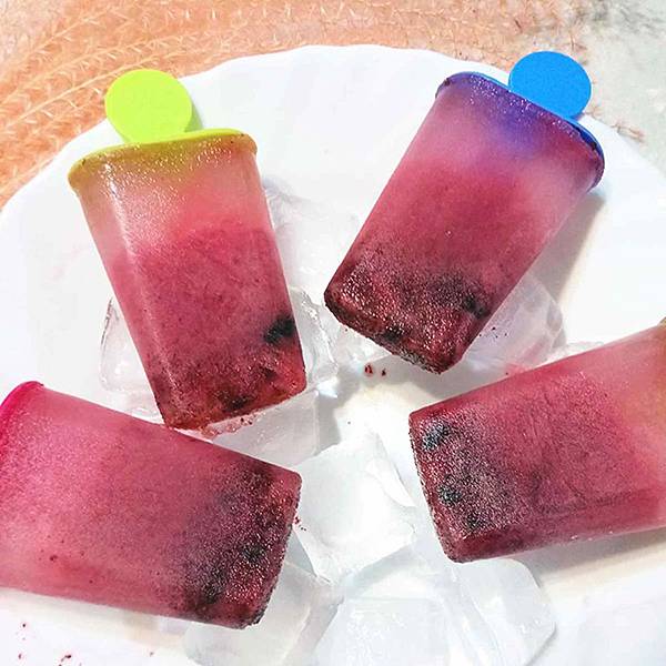 蔓越莓冰棒 Cranberry Popsicle-2000x2000.jpg